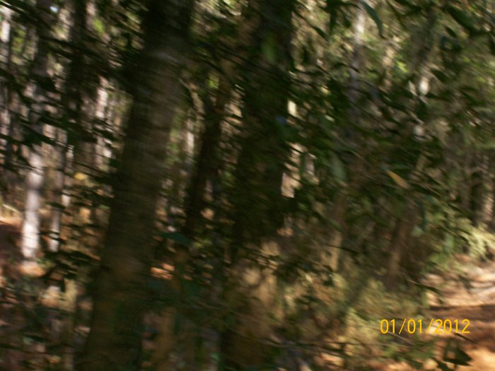 2012-Jan-02HGR4X4Croom 042